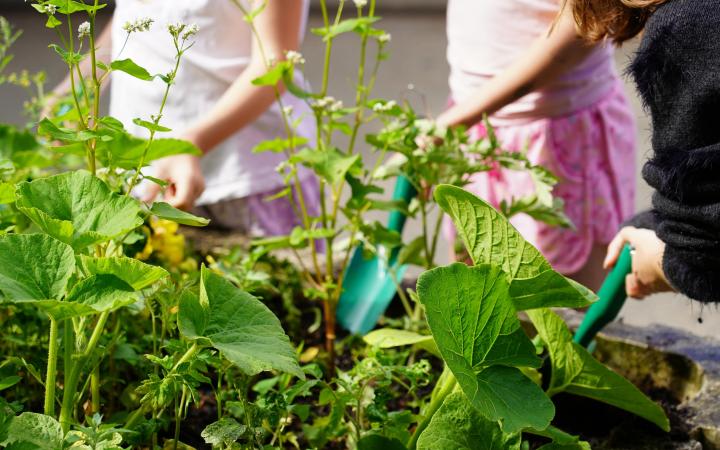 Ecole-jardiniere - des enfants jardinent