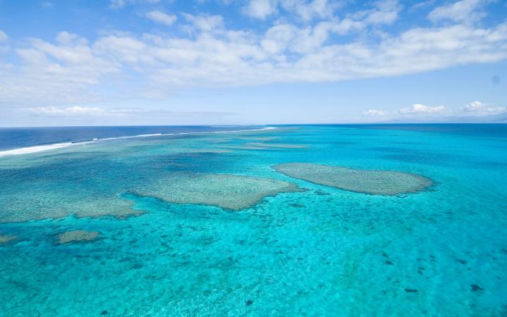 Récif coralien Nouvelle Calédonie