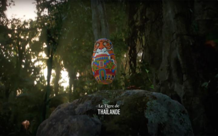 Showreel campagne "les espèces parapluies" - WWF France