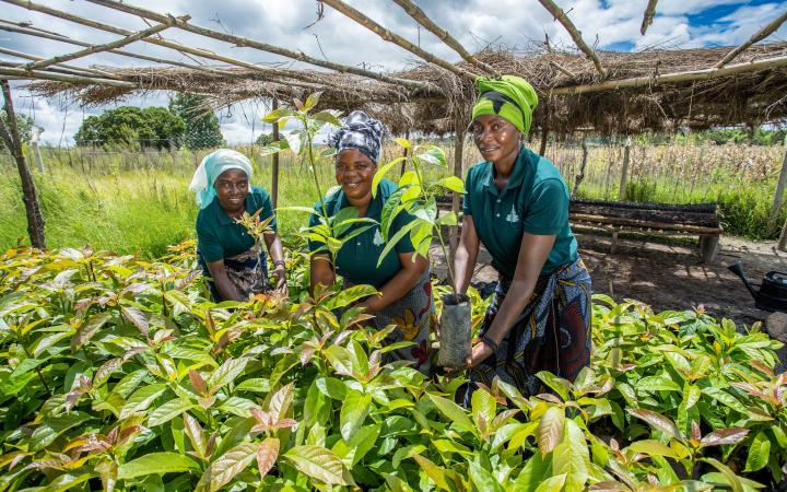 Femmes dans le cadre du programme WWF CARE Alliance