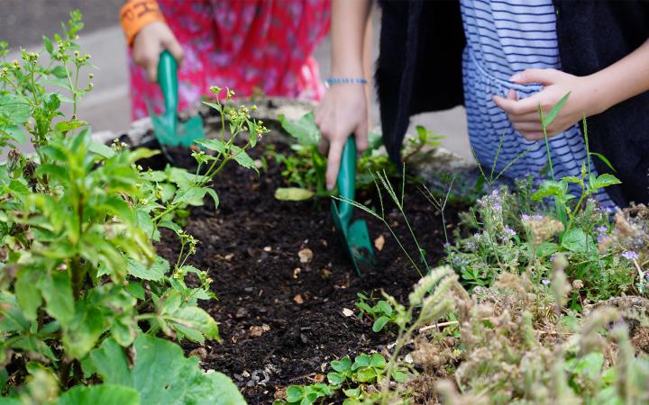 Enfants qui cultivent un potager