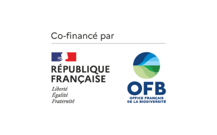 Logo OFB
