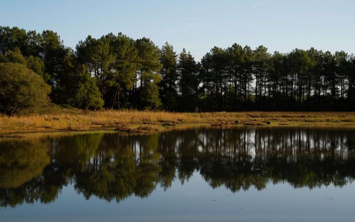 Réserve naturelle de Brenne
