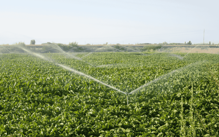 Irrigation champs agriculture