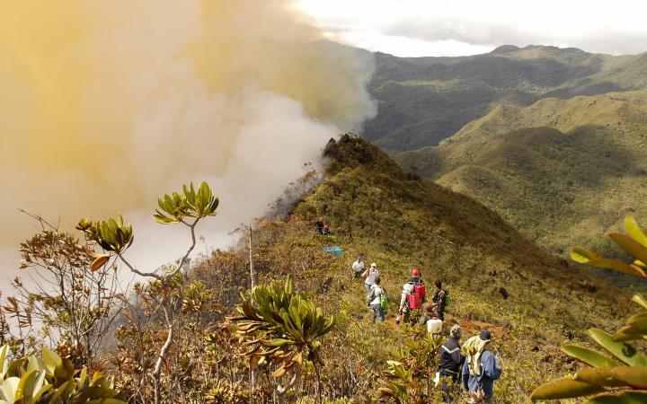 Feu de forêt - Nouvelle Calédonie