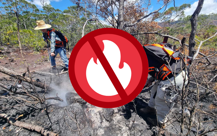 Les bons gestes - Incendies