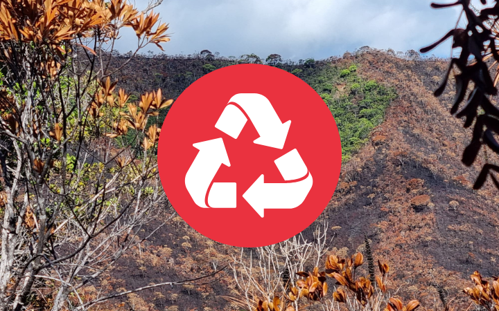 Les bons gestes - Incendies