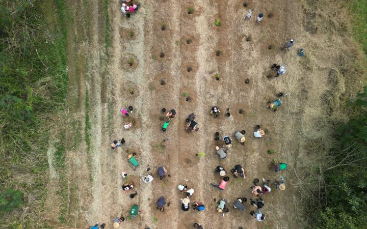 Photo mobilisation chantier citoyens - Nouvelle Calédonie