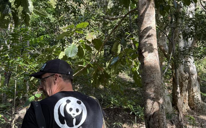 Bénévole WWF Tribu Azareu Nouvelle-Calédonie