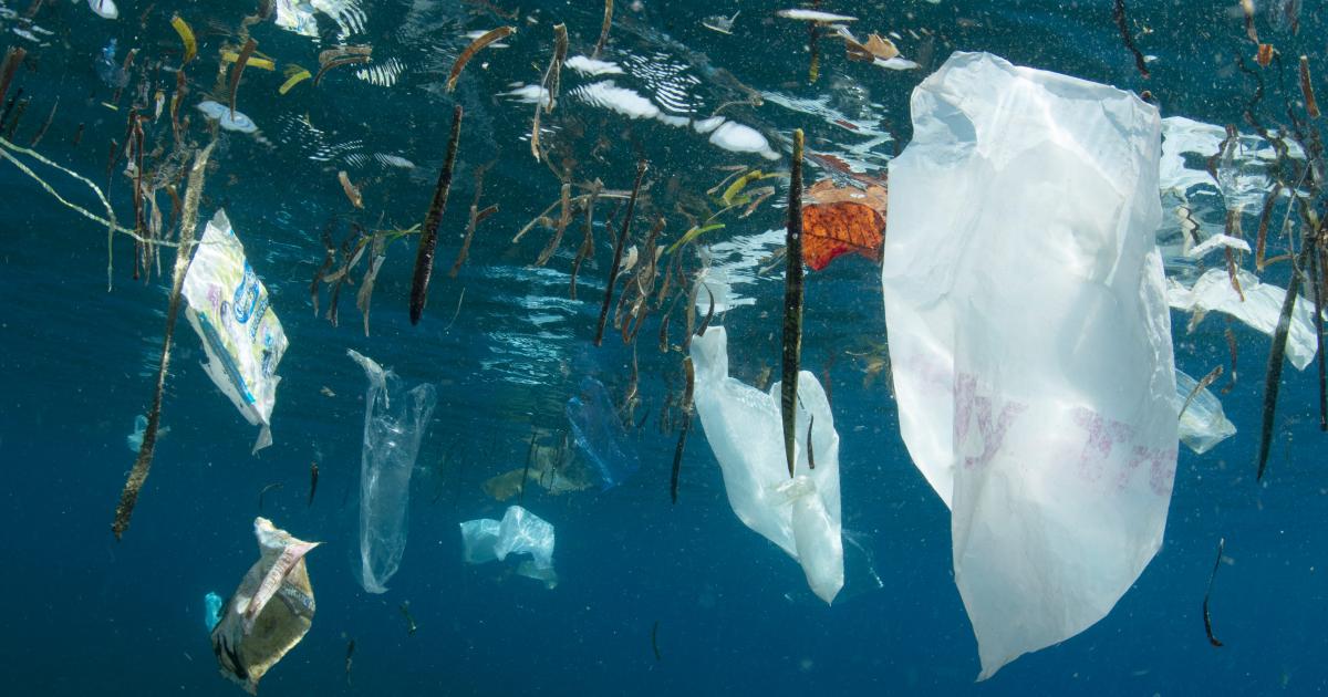 Sauvons la nature de la pollution plastique | WWF France