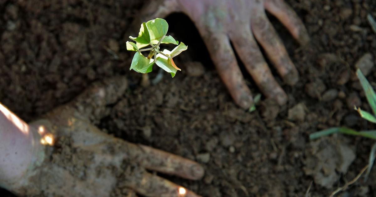 Rapport Planète Vivante 2020 | WWF France