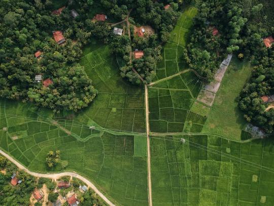 Vue du ciel - champ forêt maison chemin