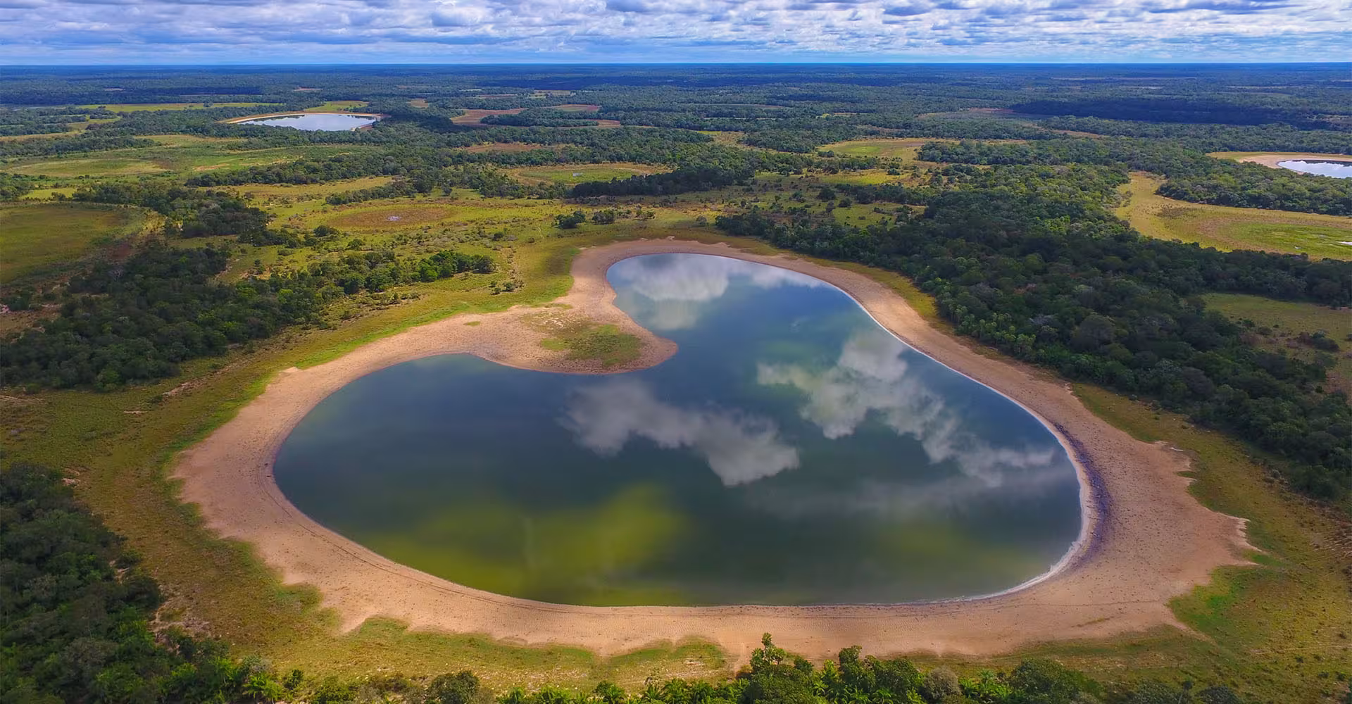Au cours des cinq dernières années, la biodiversité est devenue un sujet d'intérêt majeur pour le grand public.