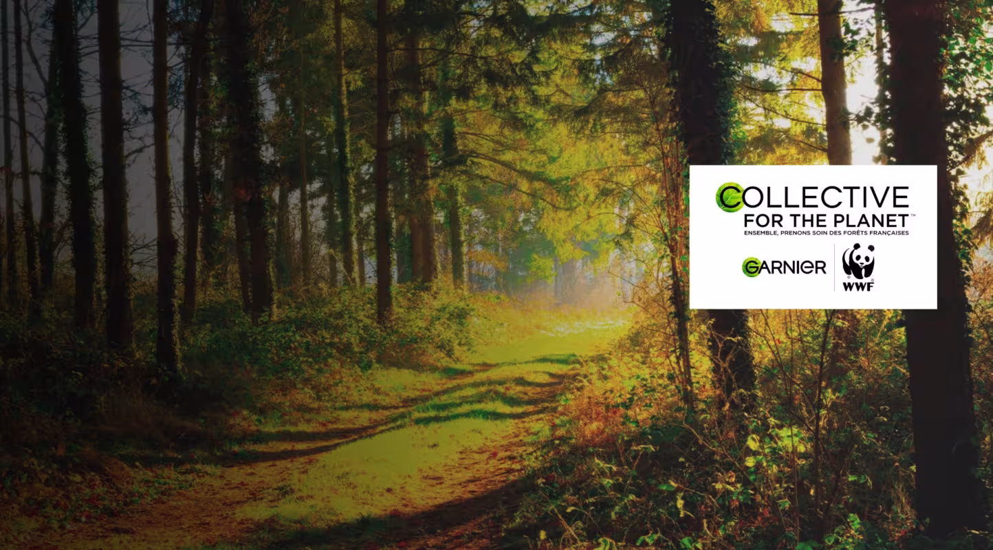 Forêt - Collective for the planet