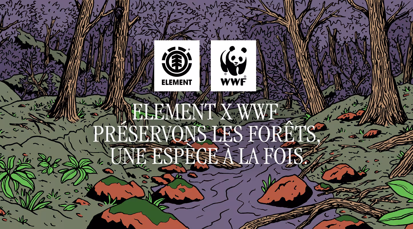 ELEMENT x WWF