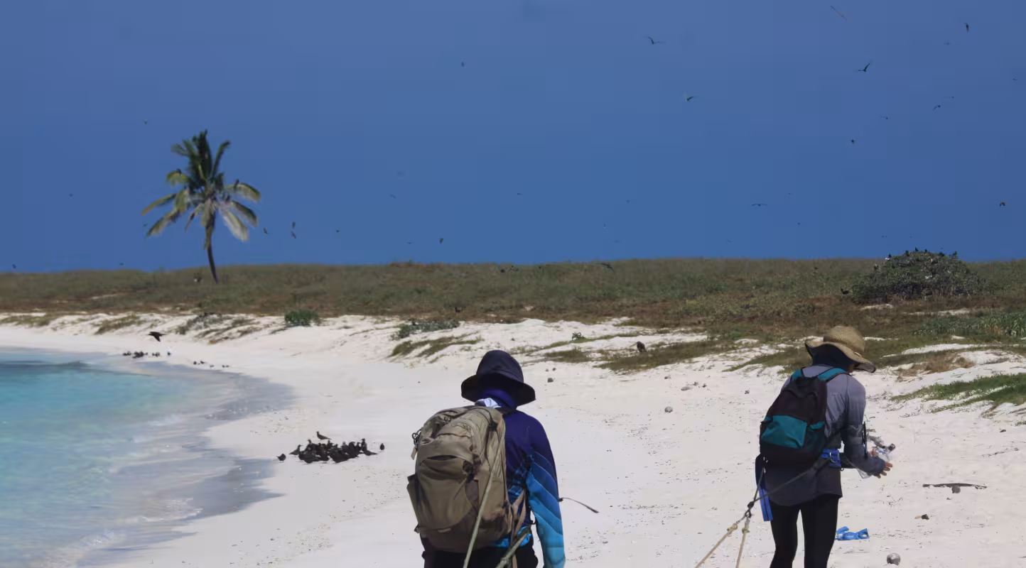 Bénévoles WWF France sur une mission terrain aux atolls d'Entrecastaux, Nouvelle-Calédonie