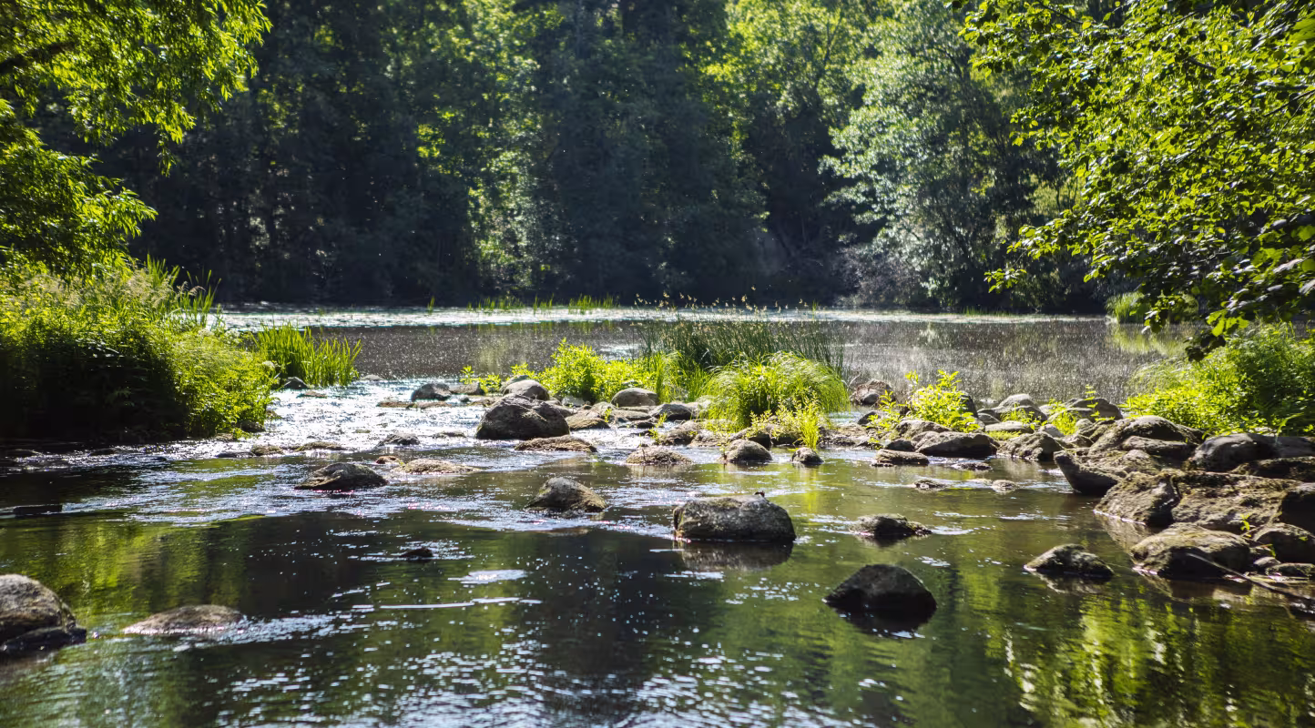 La rivière Siuntionjoki, dans le sud de la Finlande