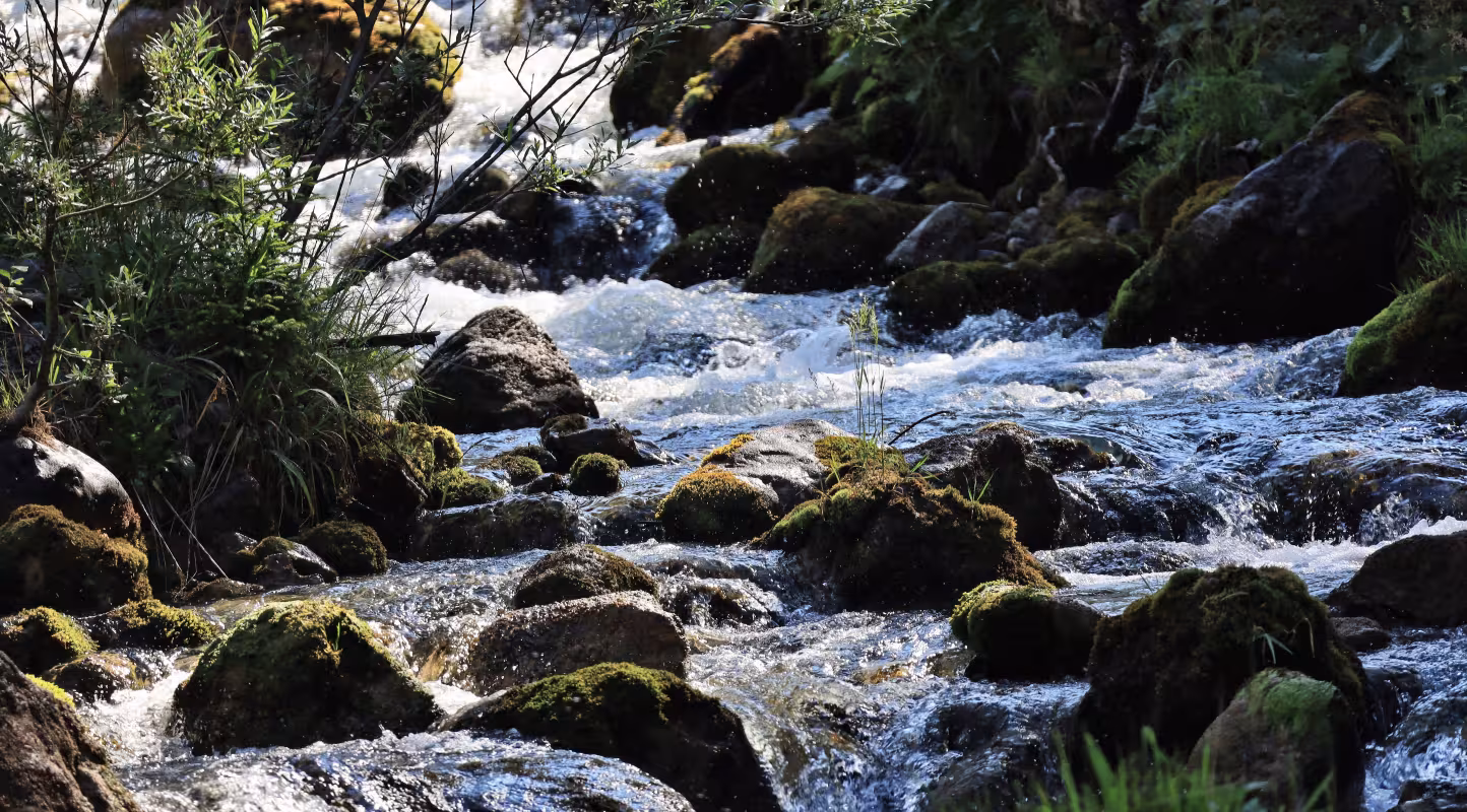 Ruisseau de montagne