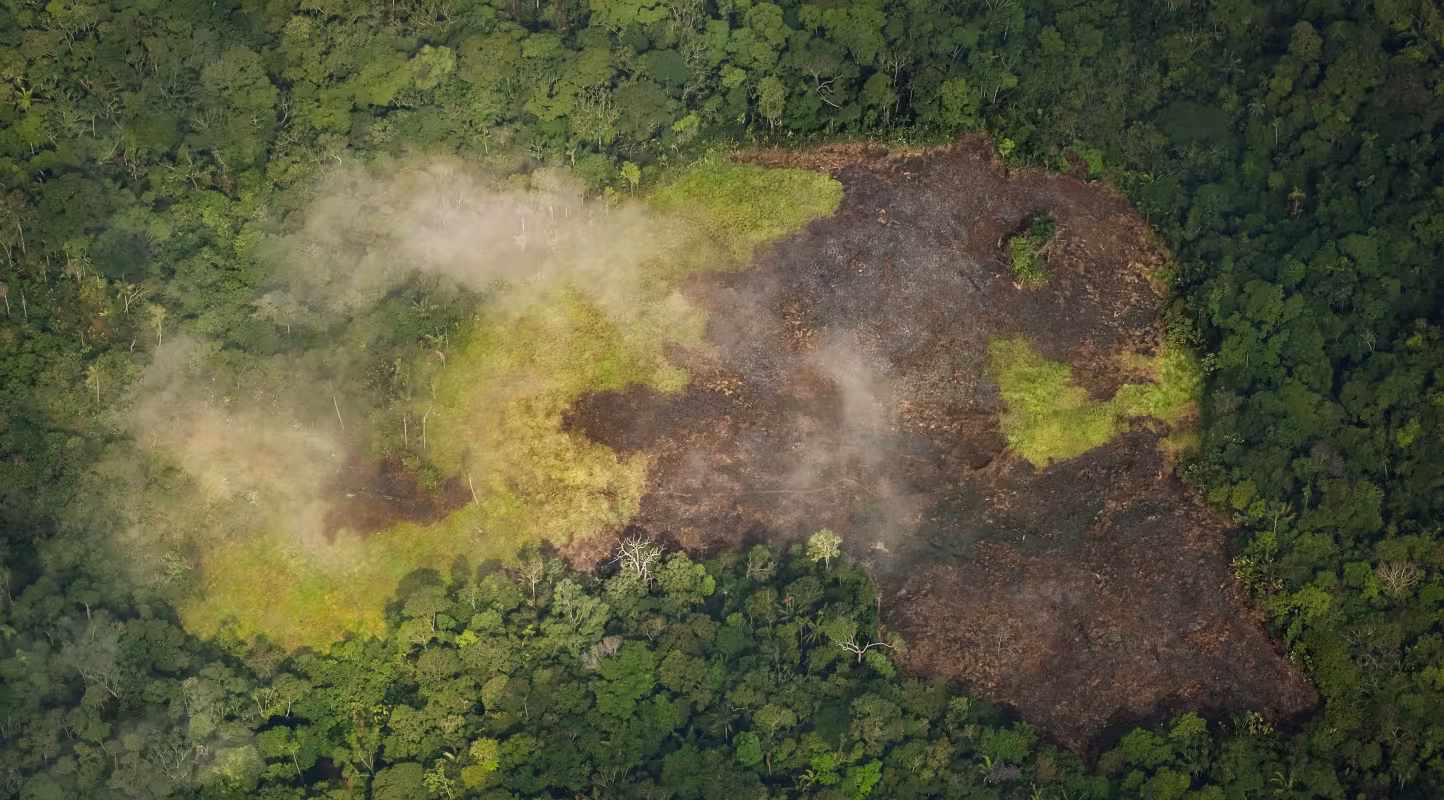 Vue aérienne de zones de forêt brûlées aux abords du parc national de Chiribiquete, en Amazonie colombienne - déforestation - dérèglement climatique