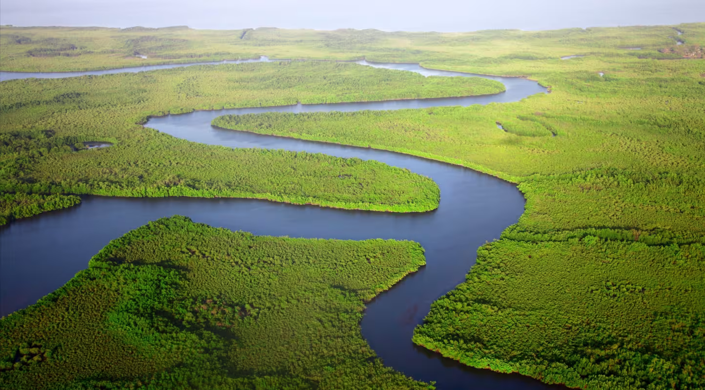 paysage rivière et forêt vue du ciel 