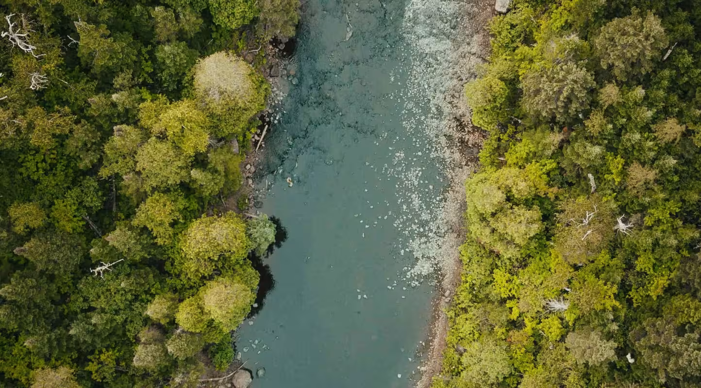 Vue du ciel rivière et forêts- Lab Transition Nature