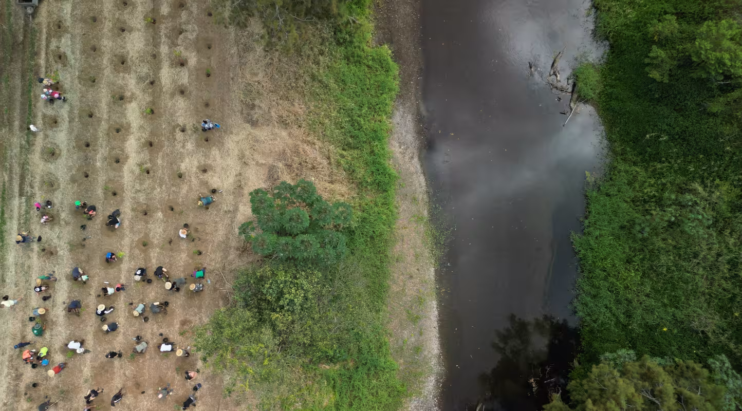 Chantier citoyen sur les berges de Boghen en Nouvelle-Calédonie