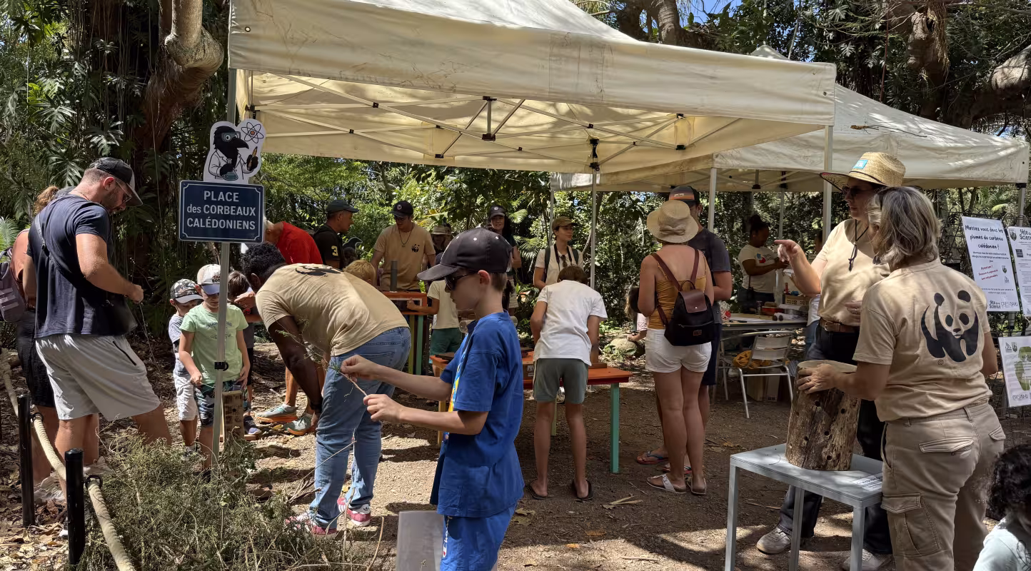 Atelier de sensibilisation à l'environnement pour les jeunes, Nouvelle-Calédonie