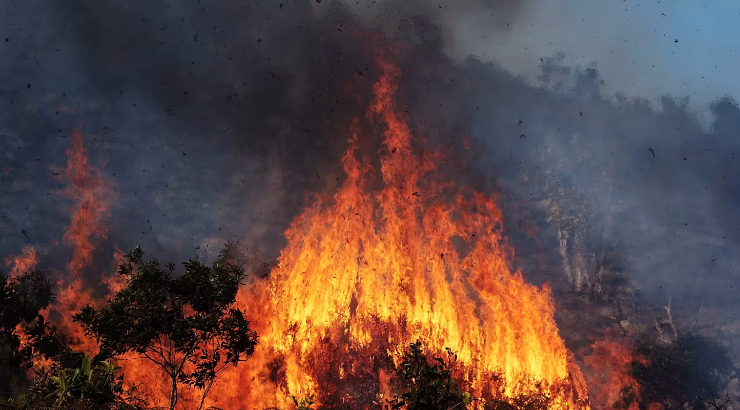 Incendie en Nouvelle-Calédonie