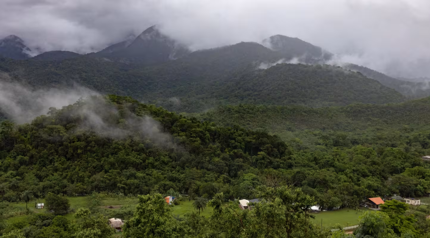 Vue d’un terrain acquis et restauré par la Reserva Ecológica de Guapiaçu (REGUA).