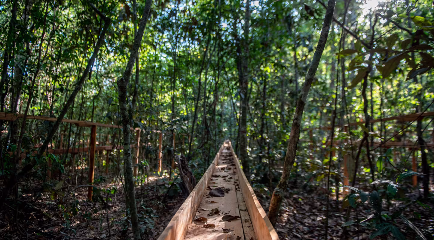 Zone légale amazonienne, à la transition entre le Cerrado et l’Amazonie, au Brésil.