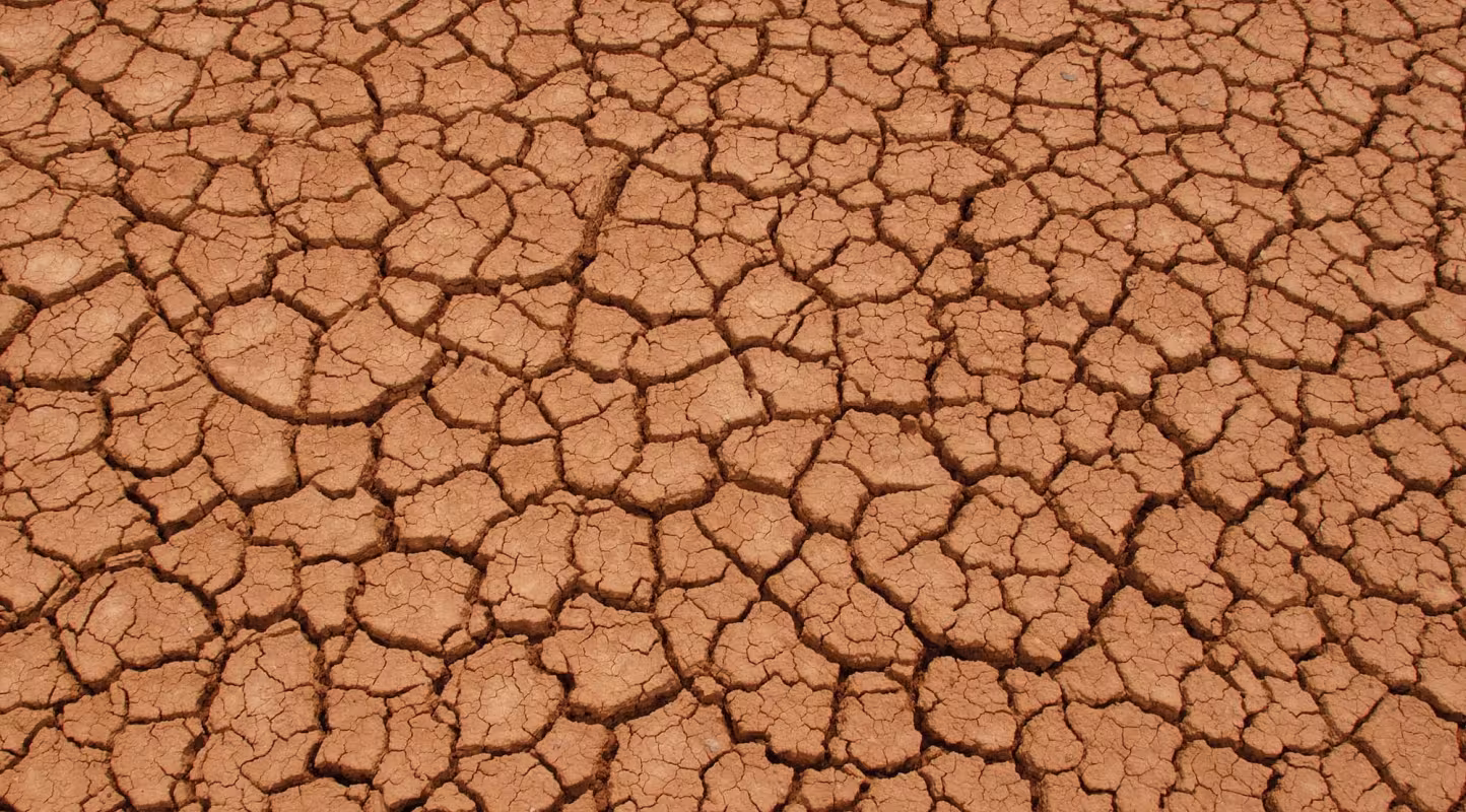 Sol craquelé par la sécheresse sur le lit d'un lac asséché. Province de Santa Cruz, Patagonie, Argentine.