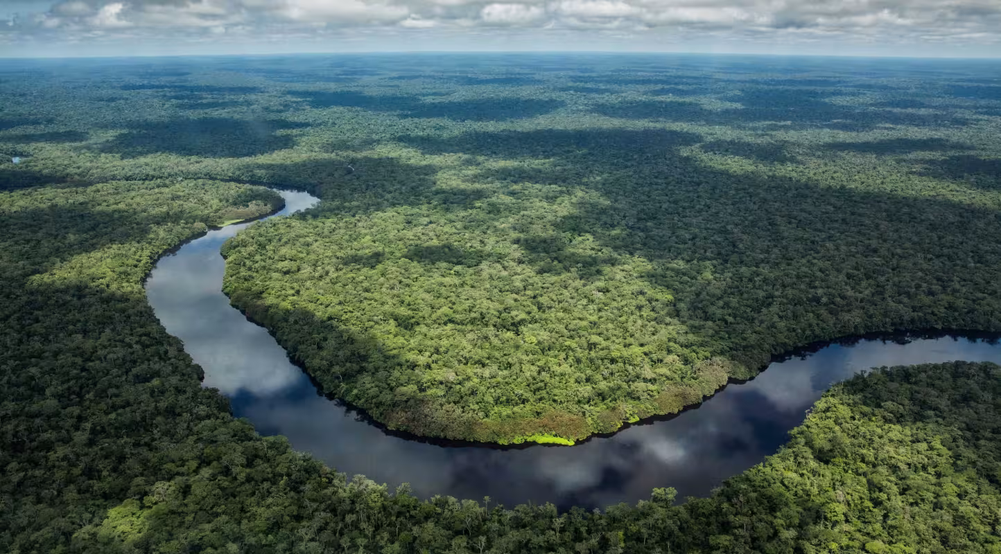 Vue aérienne du parc national de la Salonga et de la rivière Luilaka, juste avant l'atterrissage à Monkoto, en République démocratique du Congo.