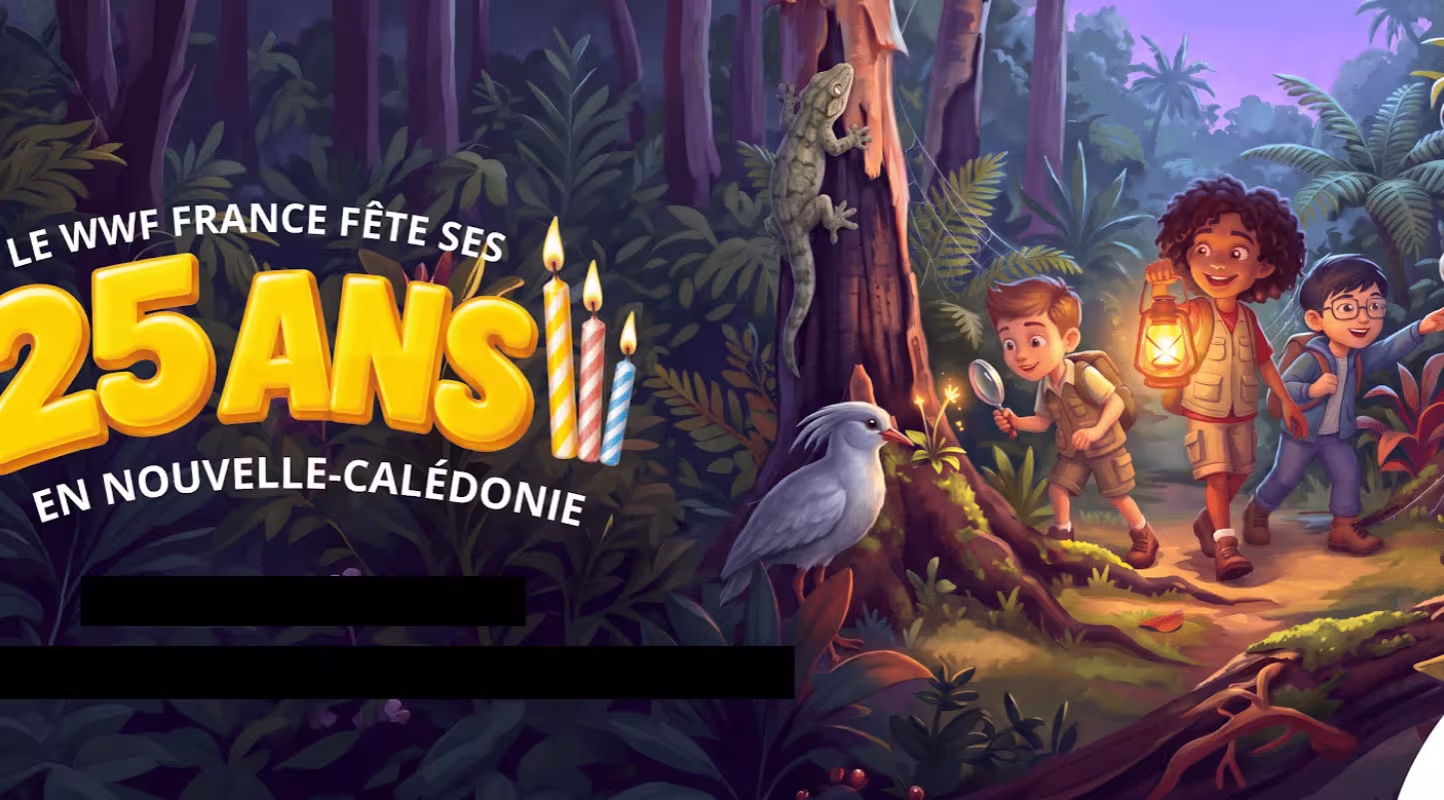 Bannière Nouvelle-Calédonie 25 ans