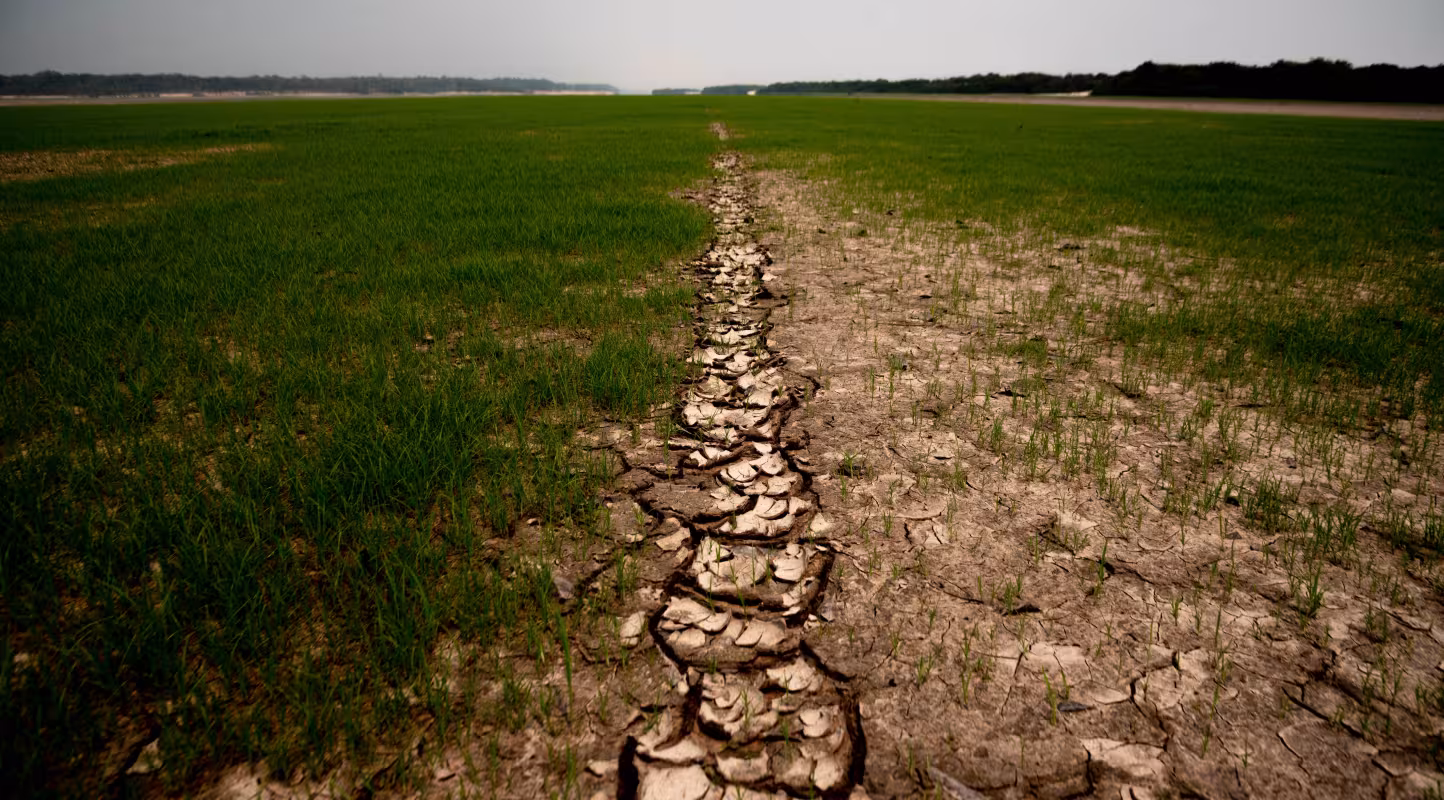 Communauté anglaise, plage Iluminado. Fleuve Negro, autour de la région de Manaus, l'un des fleuves qui a le plus souffert de la sécheresse qui s'est propagée à l'Amazonie ces derniers mois. 