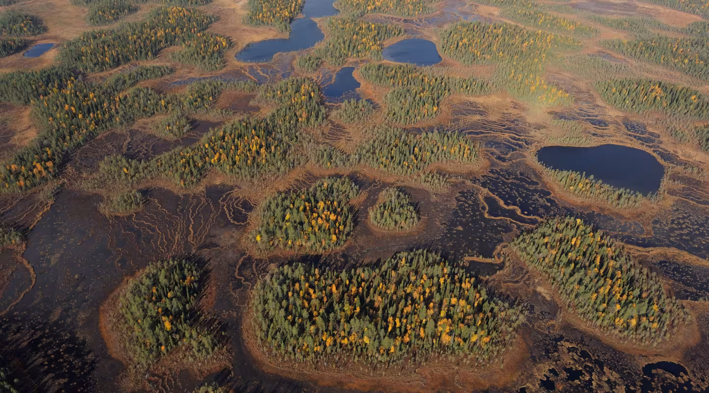 Vue aérienne d’une tourbière, parc national d’Oulanka, Finlande