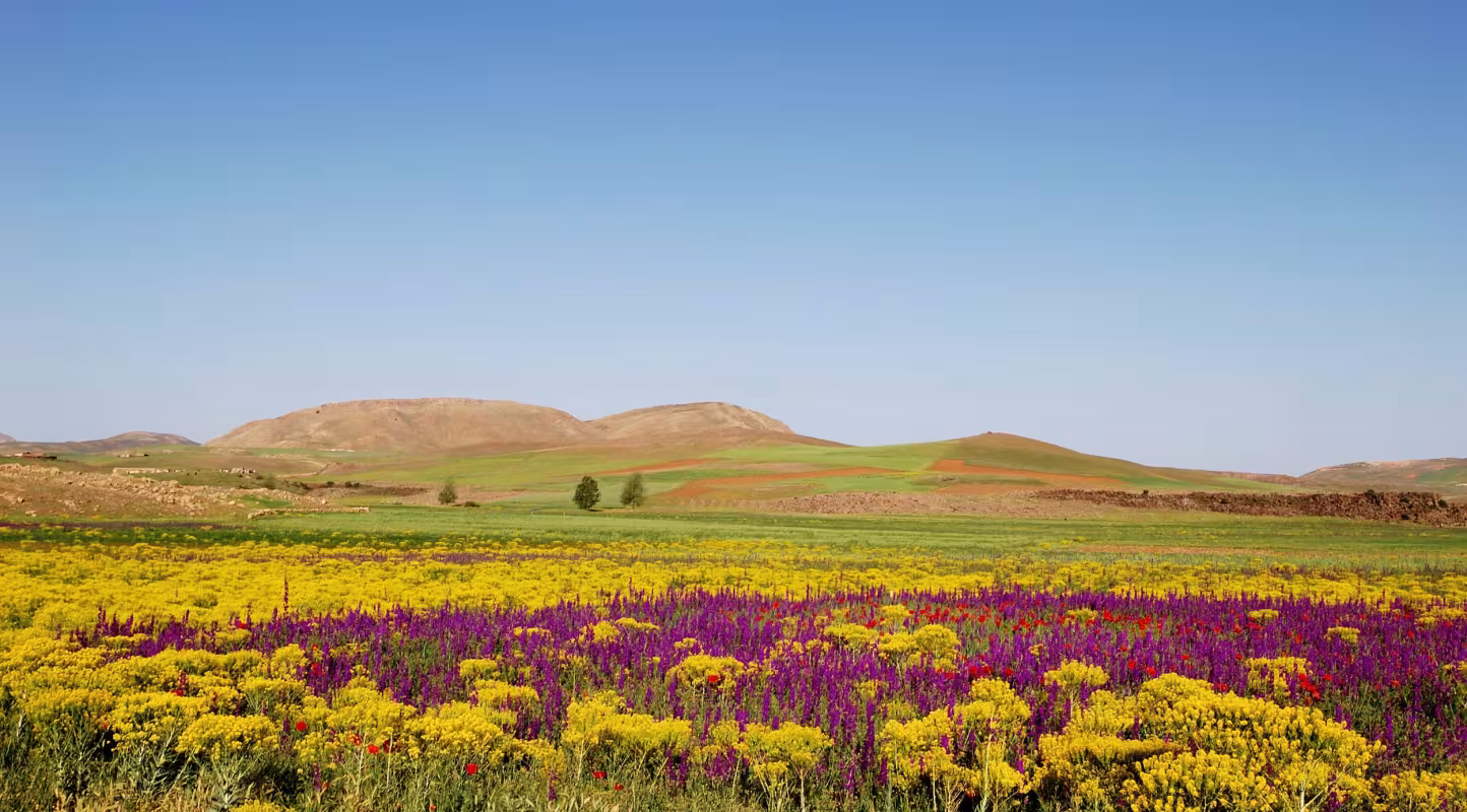 Paysage du Moyen Atlas, au Maroc