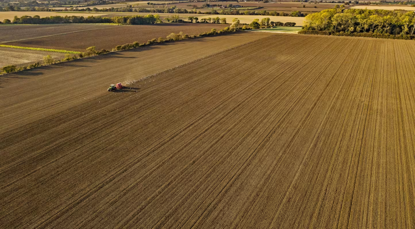 Champs agricole en Angleterre
