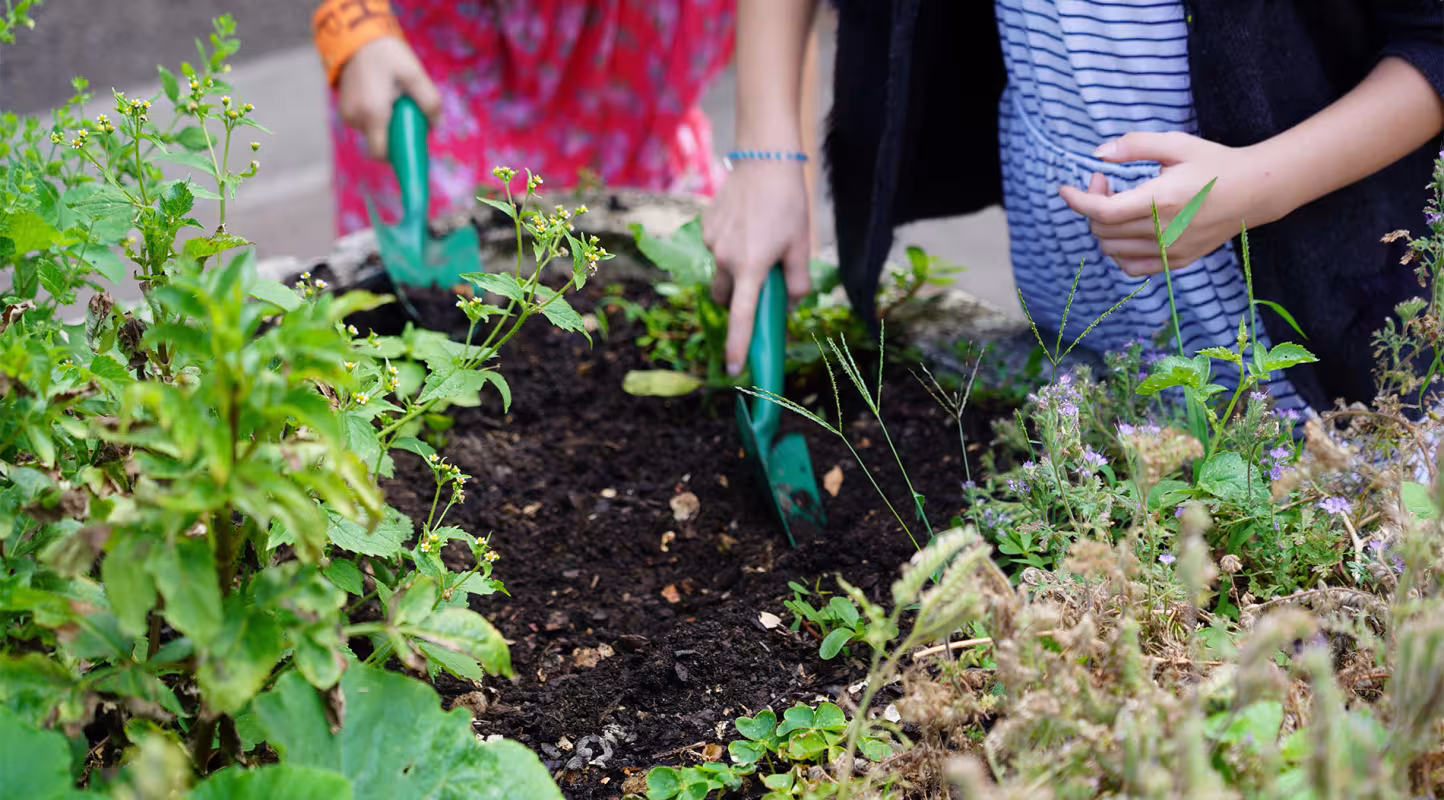 Nos jardins pédagogiques fleurissent !