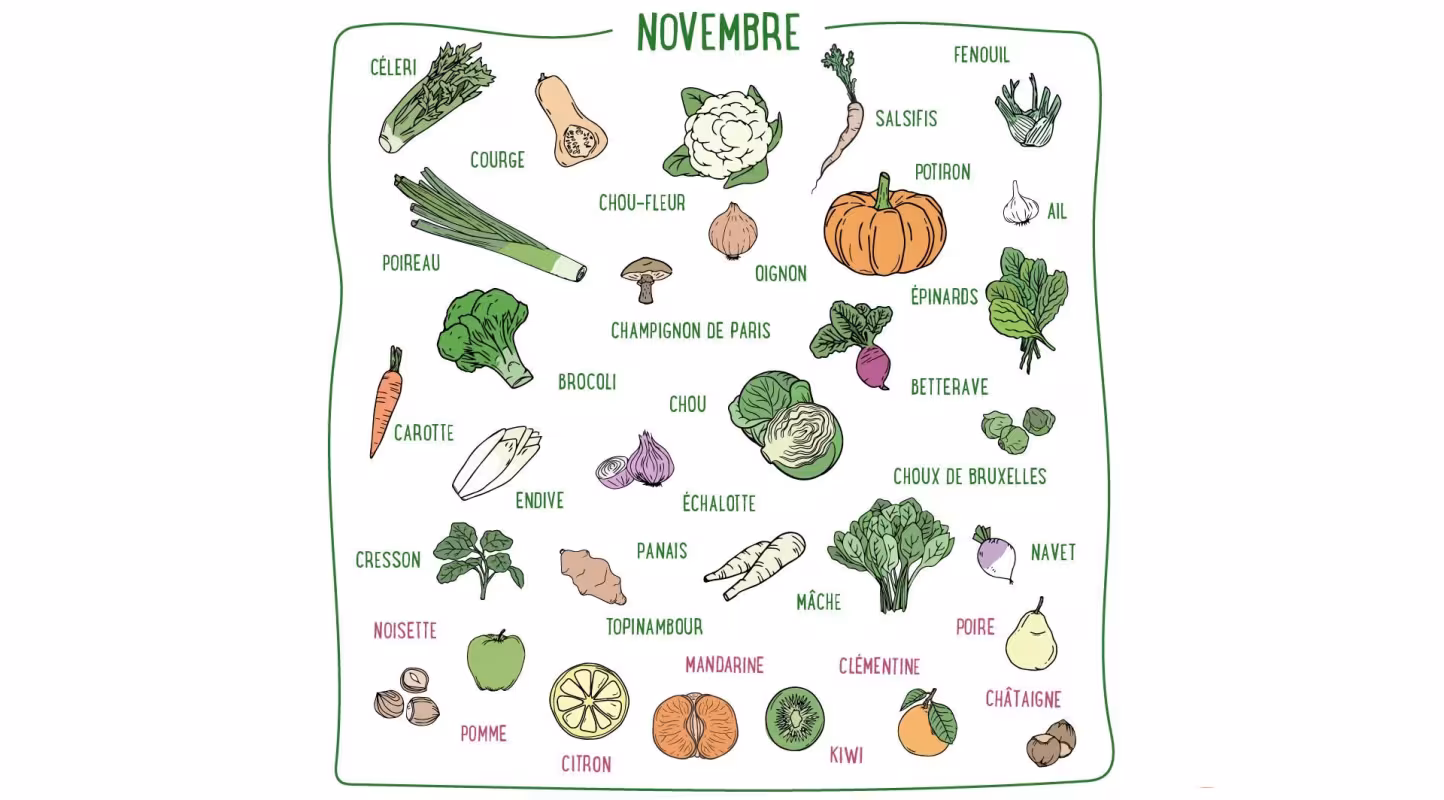Nos recettes de Novembre