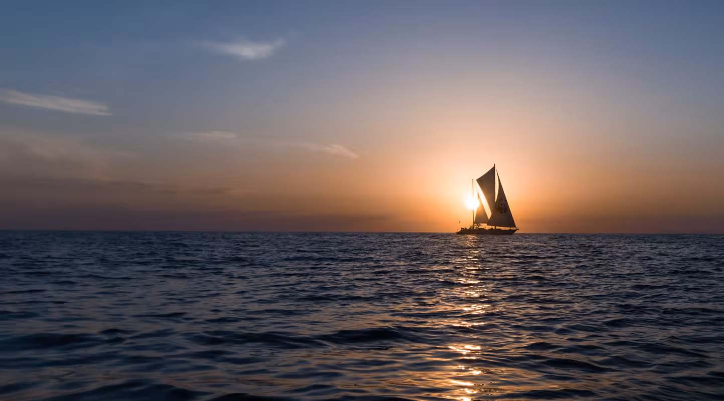 Le Blue Panda au coucher de soleil en Méditerranée