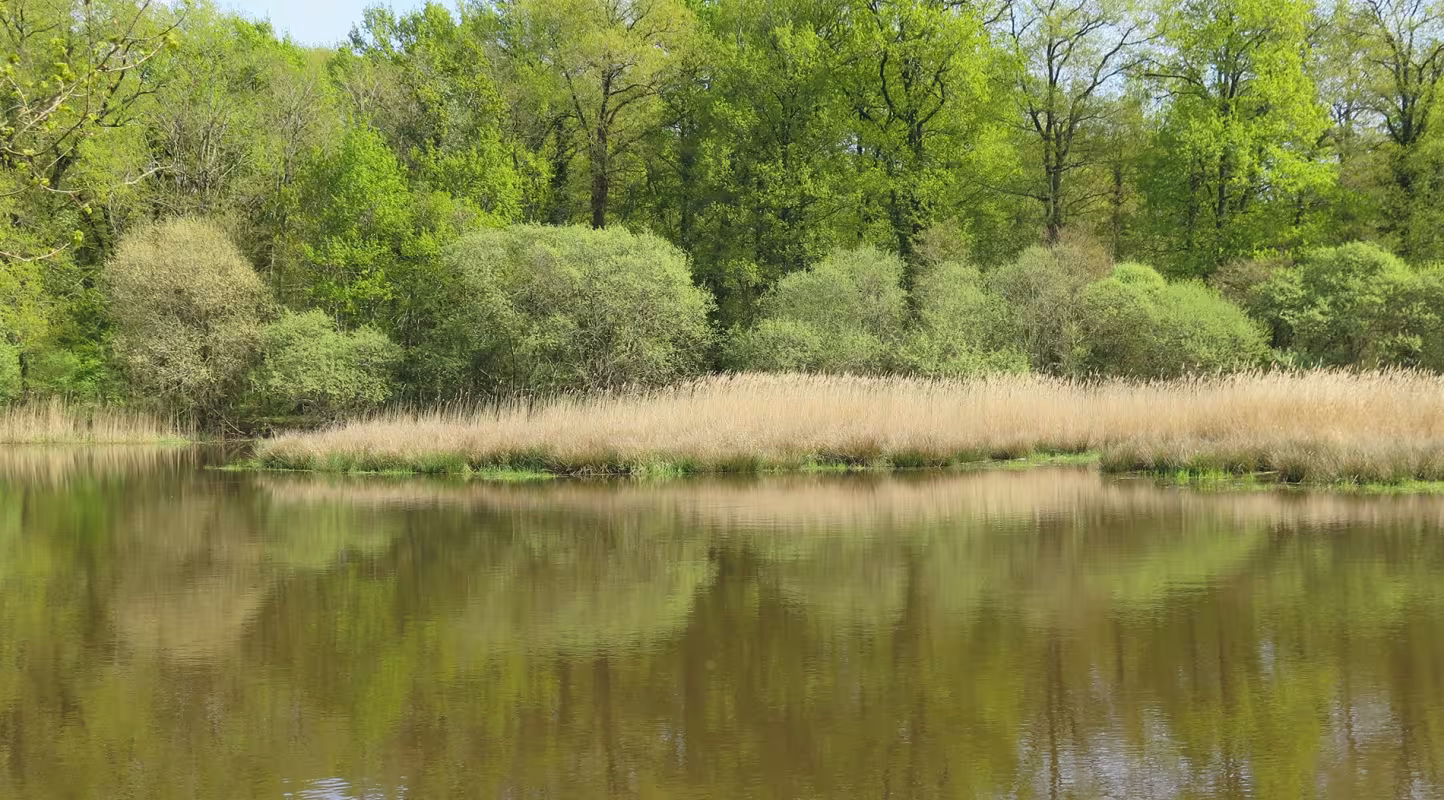  Zones humides et tourbières : en pleine COP16 biodiversité, la France va-t-elle manquer l’occasion de sauvegarder ces espaces naturels emblématiques et menacés ?