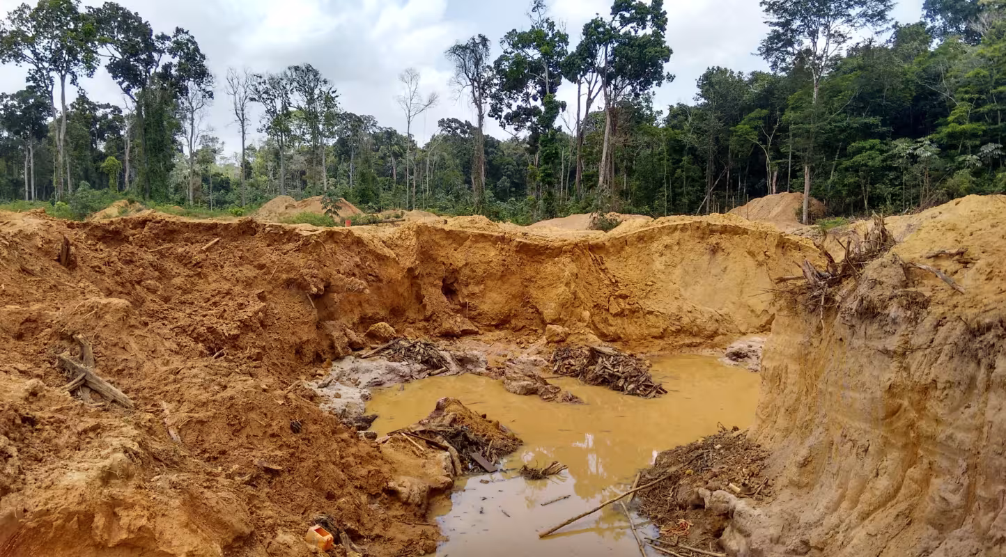 Coopération transfrontalière : la grande oubliée des politiques françaises de préservation de la biodiversité en Guyane