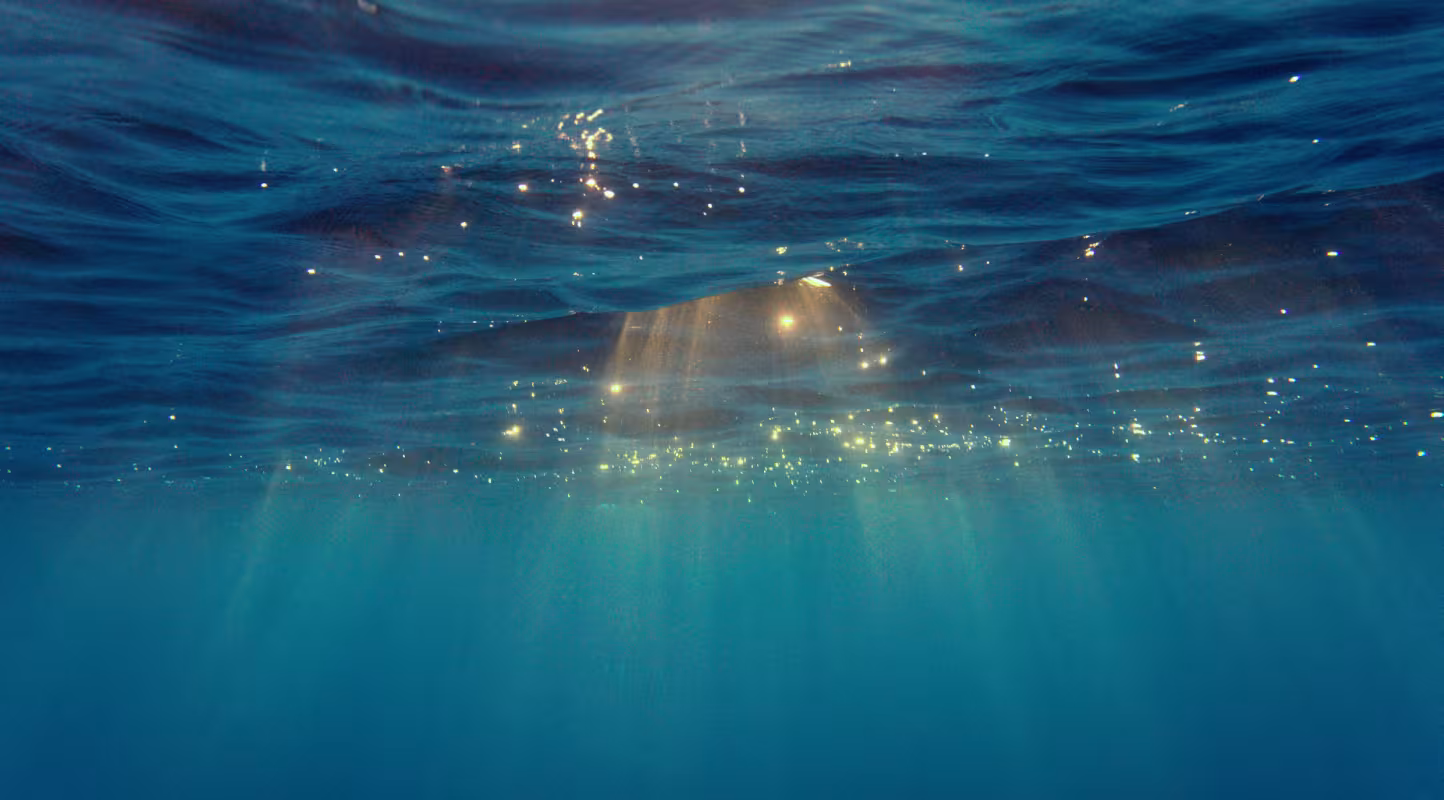 Festival de Cannes 2026 : le WWF France met la Méditerranée à l'affiche