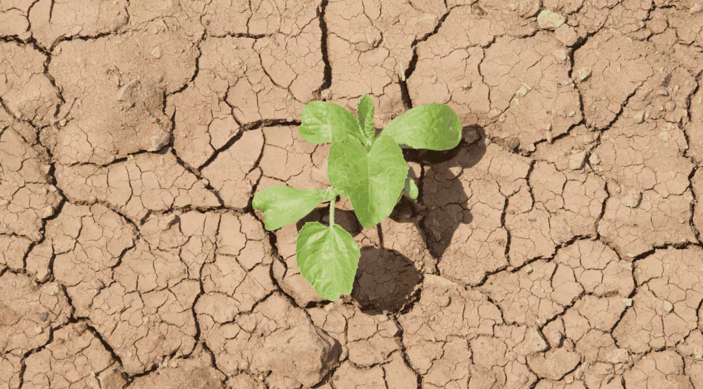 Jour du Dépassement : dès le 24 avril, la France vit à crédit écologique