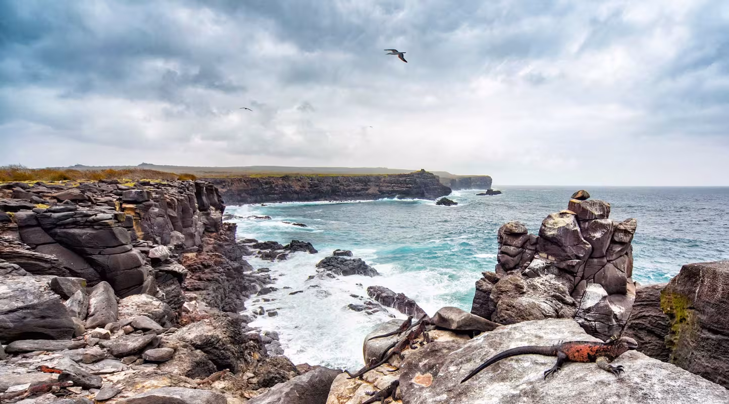 îles Galapagos