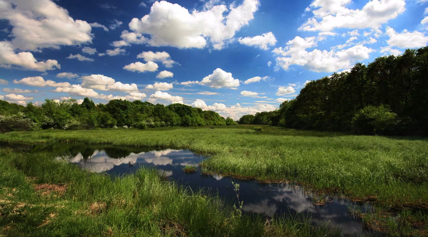 Surnommée l'« Amazone de l’Europe », la réserve de biosphère Mur-Drave-Danube devient la plus large zone fluviale protégée du continent.
