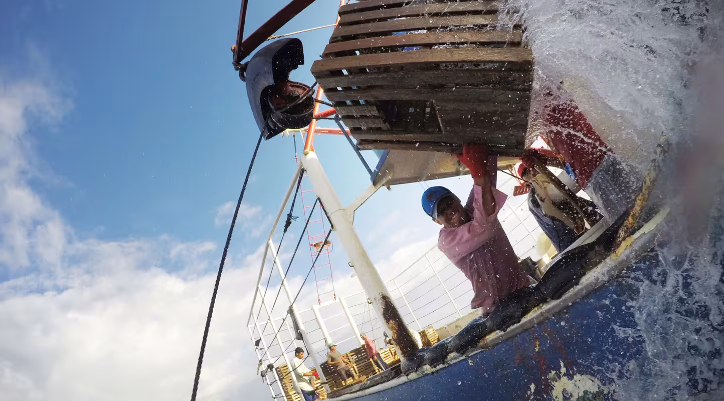 Pêcheur sortant de l'eau une caisse à homard sur le bateau Miss Danika, Honduras