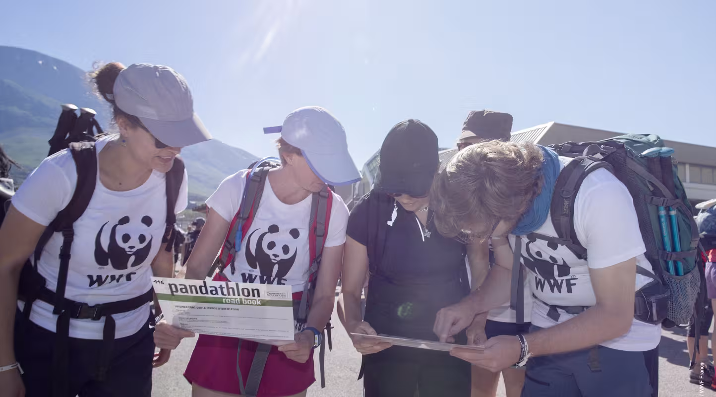 Equipe de pandathlètes en train d'élaborer leur stratégie pour la course d'orientation du Pandathlon à l'Alpe d'Huez (France)