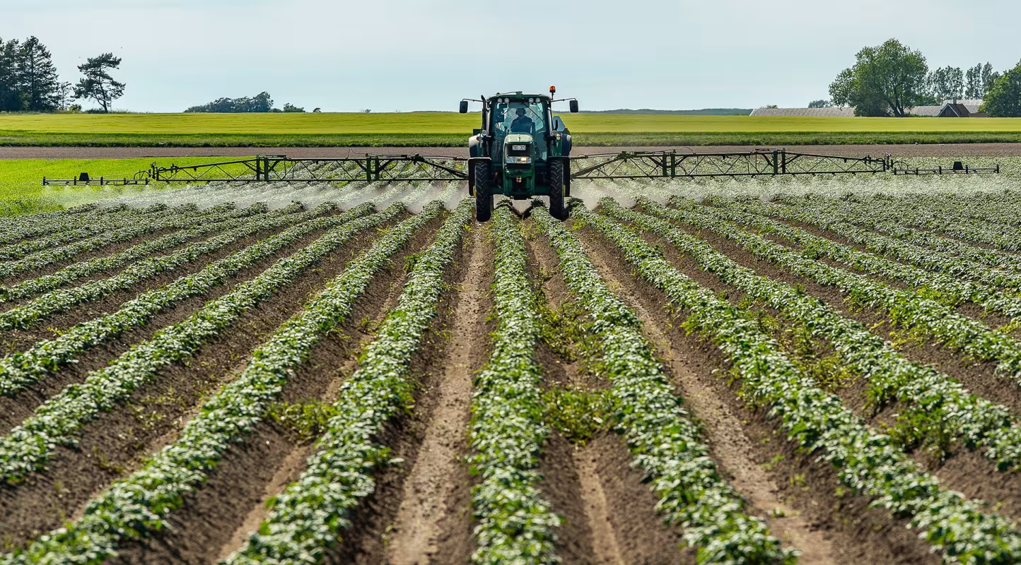 Un fermier épand des pesticides dans un champ de patates, Suède.