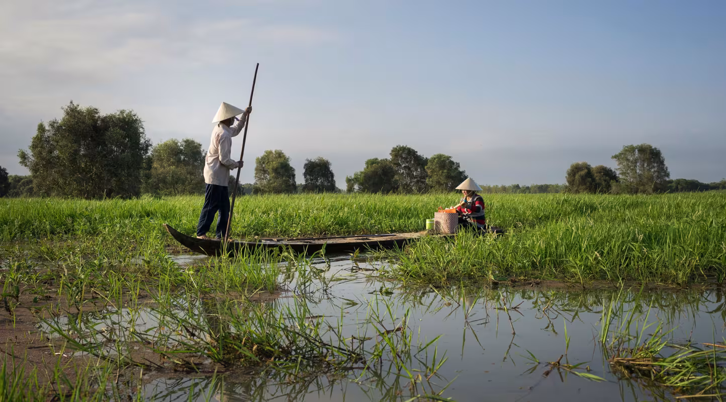 Pêcheur utilise un bâton en bambou pour naviguer avec son bateau dans l'aire du Parc national où il avait l'habitute de pêcher, Tram Chim (Vietnam)